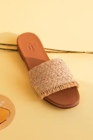 Beach slides